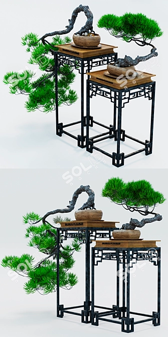 Decorative Bonsai Plant 3D model image 2