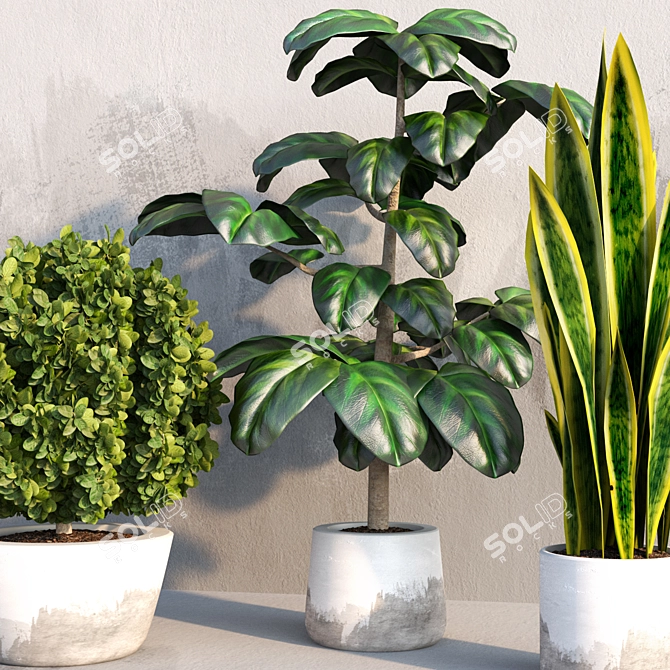 Exquisite Indoor Plant Trio 3D model image 2