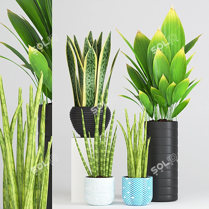 Green Oasis Pot Set: Aloe Vera, Cylindrical Sansevieria & Palm Plant 3D model image 1