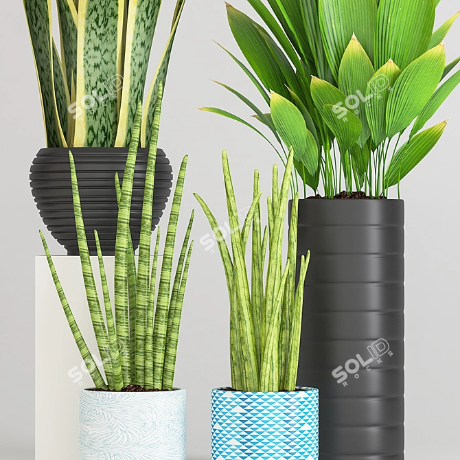 Green Oasis Pot Set: Aloe Vera, Cylindrical Sansevieria & Palm Plant 3D model image 2