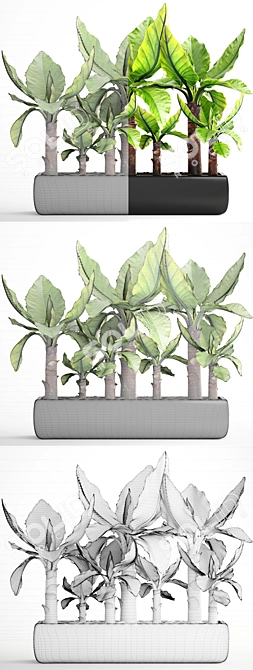 Exotic Typhonodorum Lindleyanum: Tropical Collection 3D model image 3