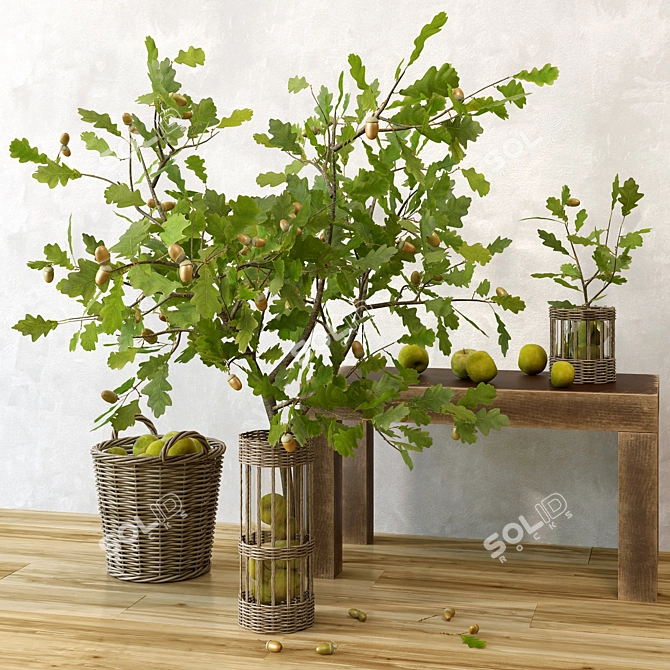 Rustic Oak Branch Decor Set 3D model image 1