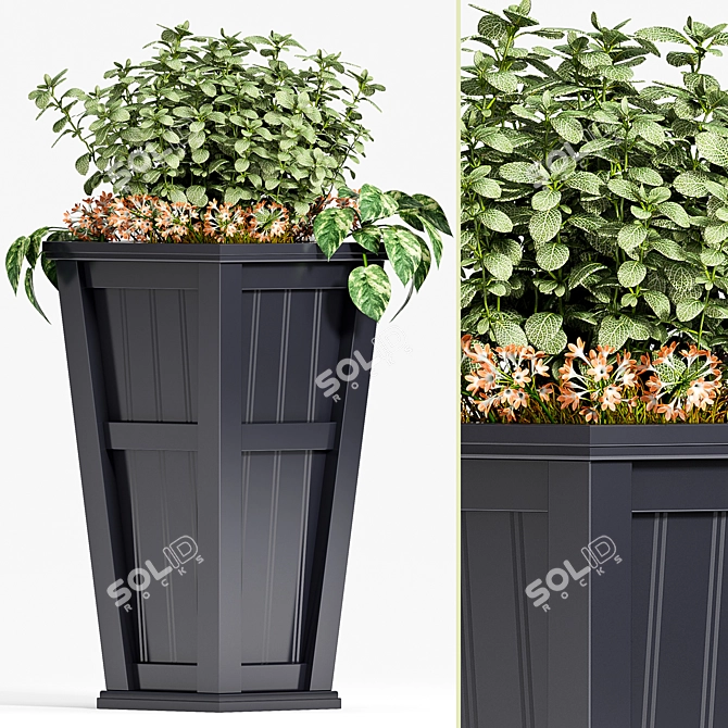 5-Piece Decorative Planter Set 3D model image 1