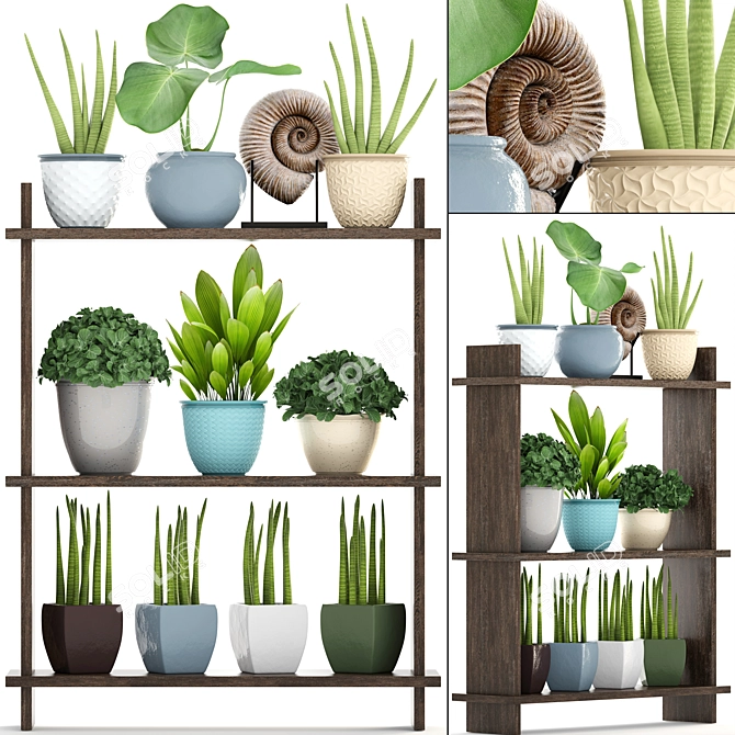 Tropical Plant Collection: Sansevieria, Palm Grass & More 3D model image 1
