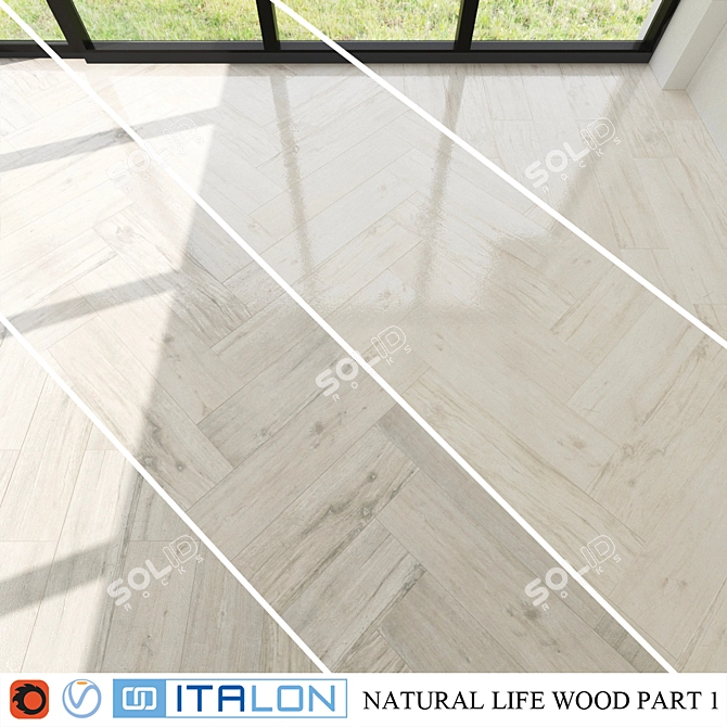 Italon Natural Wood Collection: Ash & Nordic 22.5x90 3D model image 1