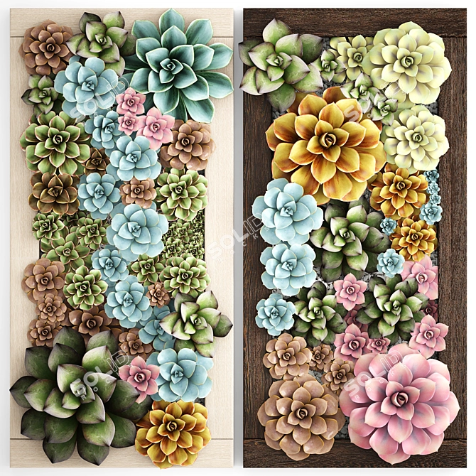 Echeveria Vertical Garden: Succulent Phytomodule 3D model image 1