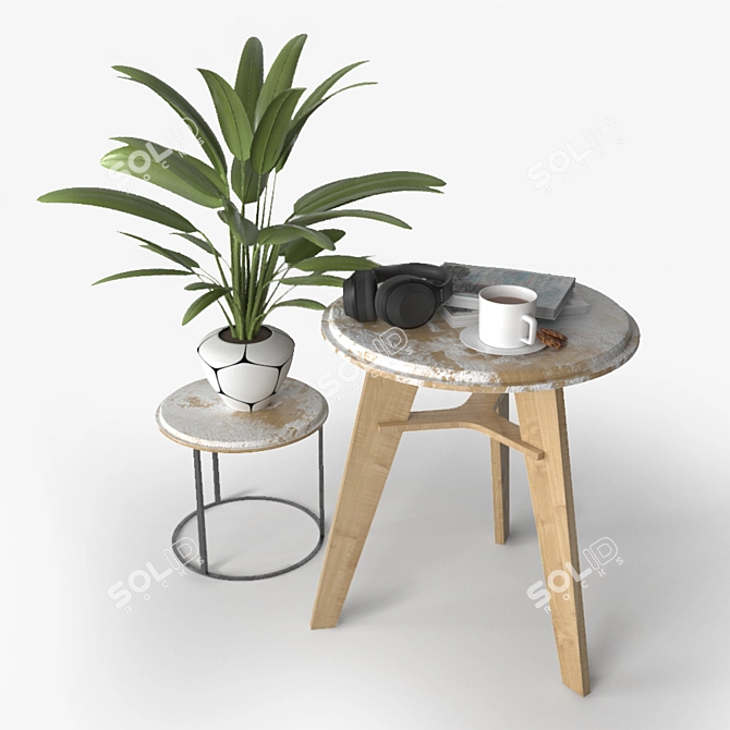 Versatile Decoration Set 3D model image 1