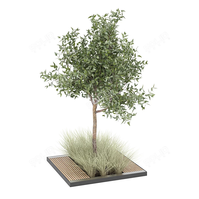 Versatile Tree Model Collection 3D model image 1