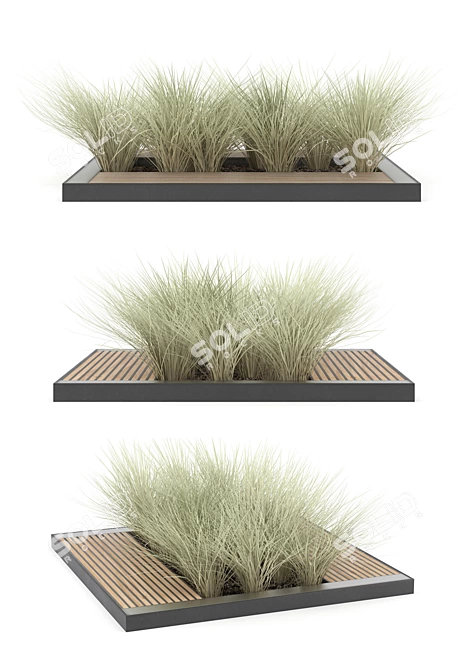 Versatile Tree Model Collection 3D model image 2