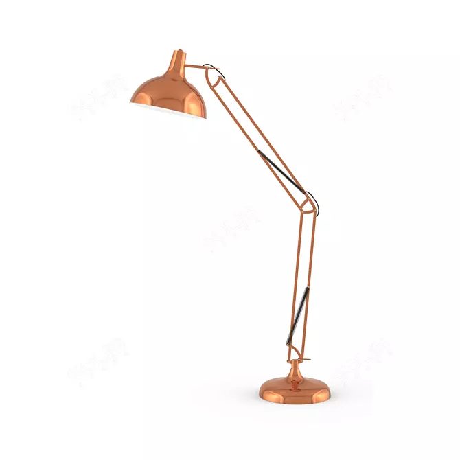 BORGILLIO Copper Floor Lamp 3D model image 1