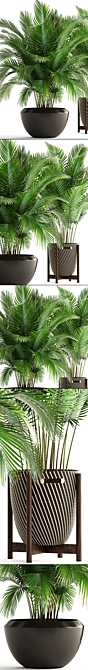 Tropical Paradise: Areca Palm Collection 3D model image 2