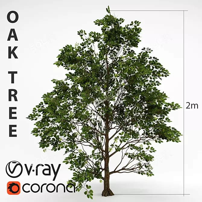Fresh Oak Essence 3D model image 1