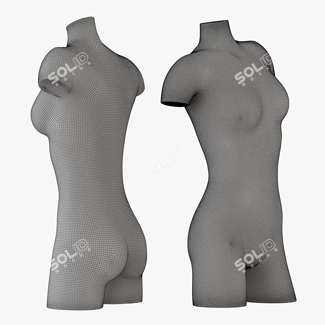 Glossy Female Torso Sculpture 3D model image 3