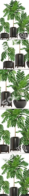 Elegant Chamaedorea: Lush Indoor Palm 3D model image 2