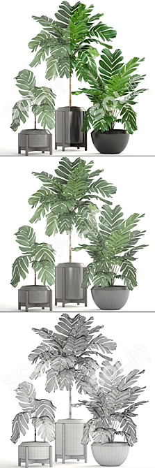 Elegant Chamaedorea: Lush Indoor Palm 3D model image 3