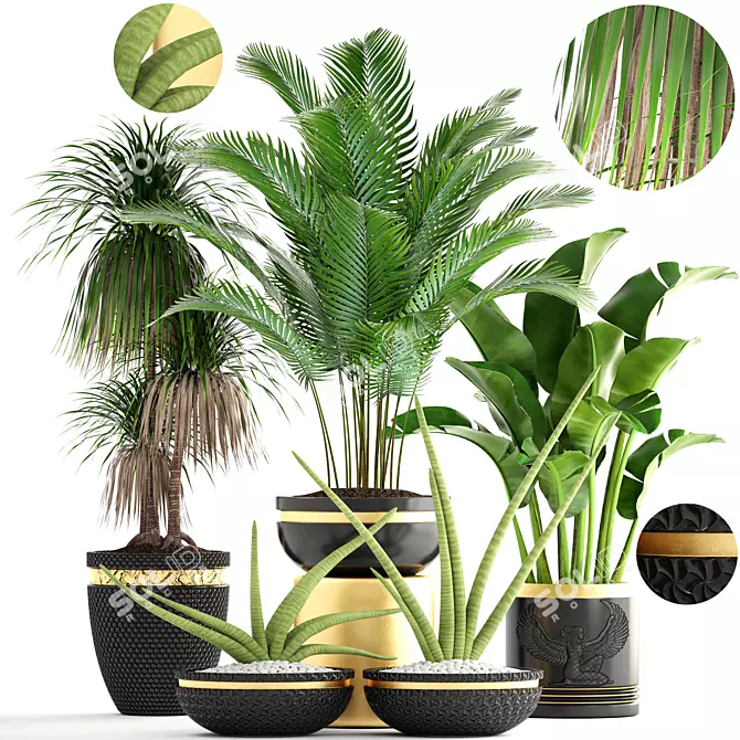 Luxury Indoor Plant Collection 3D model image 1