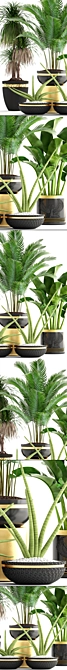 Luxury Indoor Plant Collection 3D model image 2