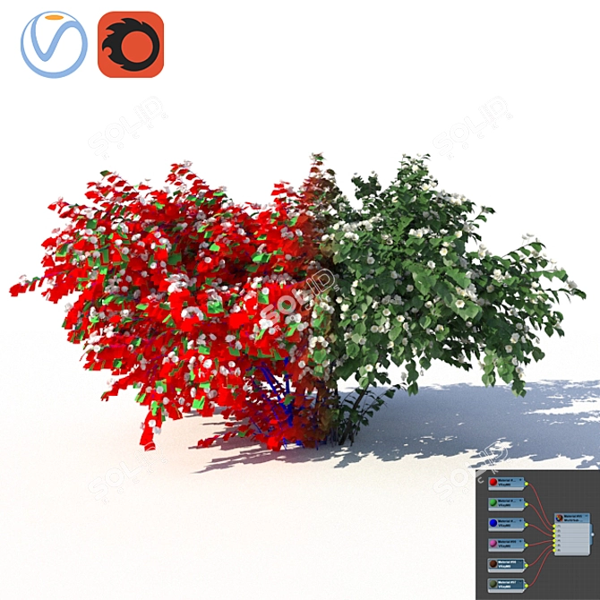 Chubushnik (Jasmine) Shrub - Versatile and Detailed 3D model image 3