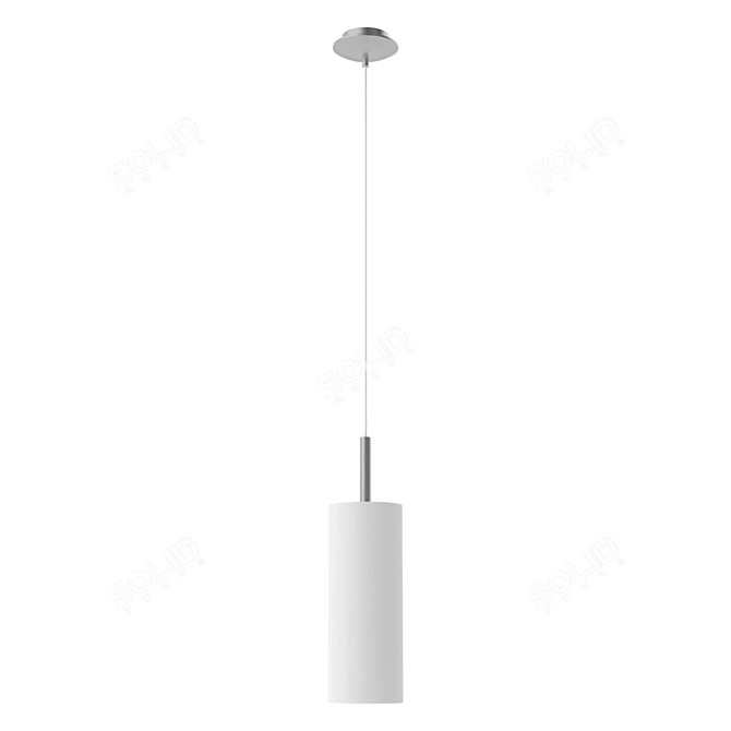 Elegant Nickel Matt and White Suspension 3D model image 1