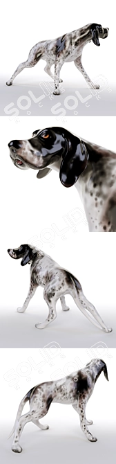 Porcelain Pointer Dog Figurine (23cm) 3D model image 2