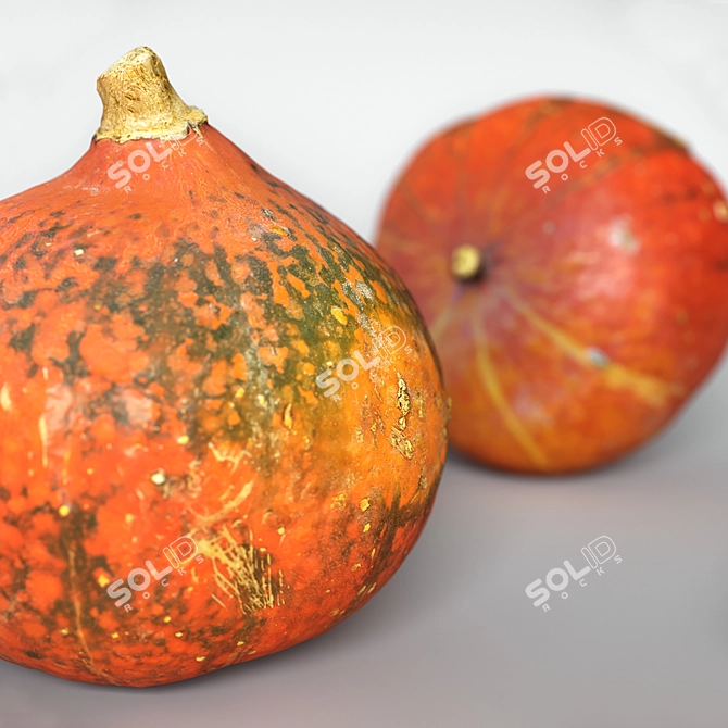 Realistic 30x30 Pumpkin Replica 3D model image 2