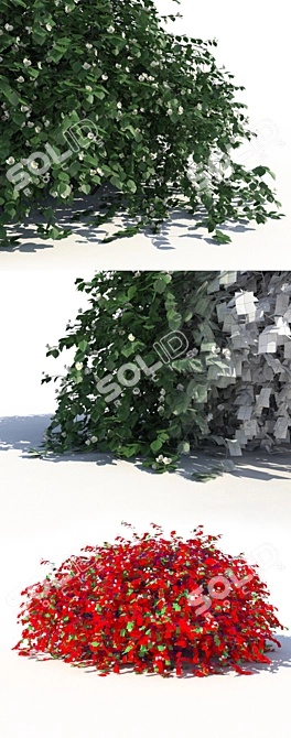 Title: Jasmine Bush with Ground-Lying Branches 3D model image 2