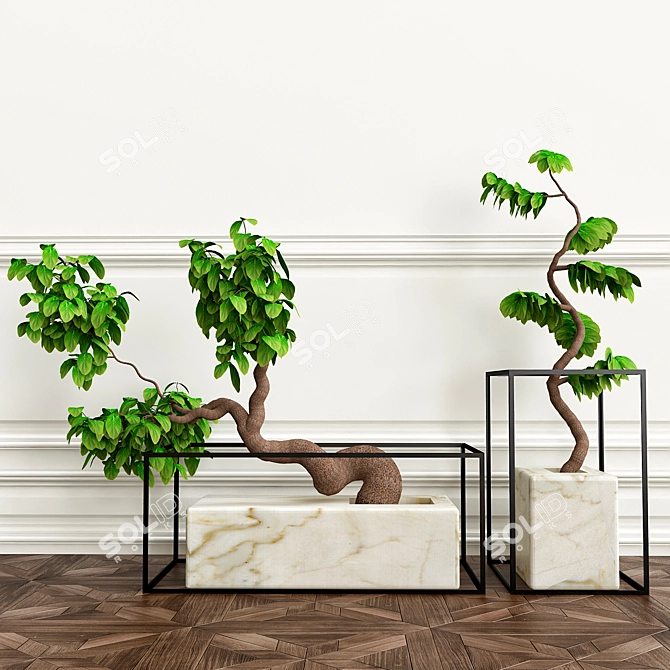 Lush Greenery Set - PLANTS 9 3D model image 1