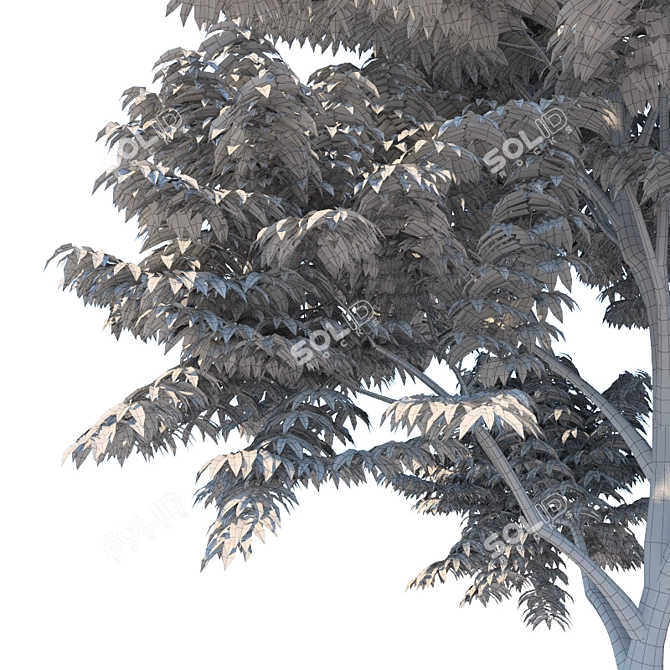 Versatile Fraxinus Excelsior Variations 3D model image 2