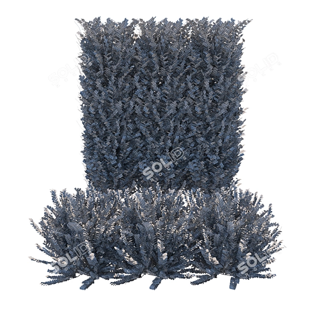 Realistic Ligustrum Ovalifolium Bush - 2 Variations 3D model image 3
