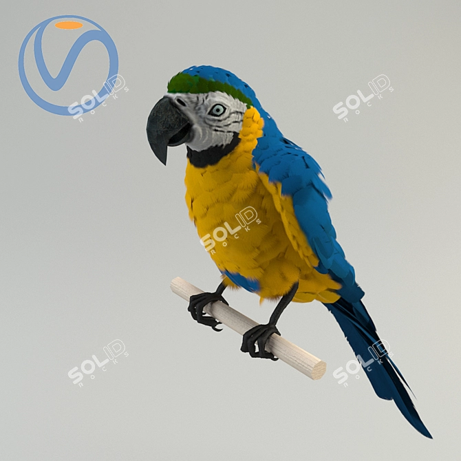 Vibrant Blue-Yellow Macaw Toy 3D model image 1
