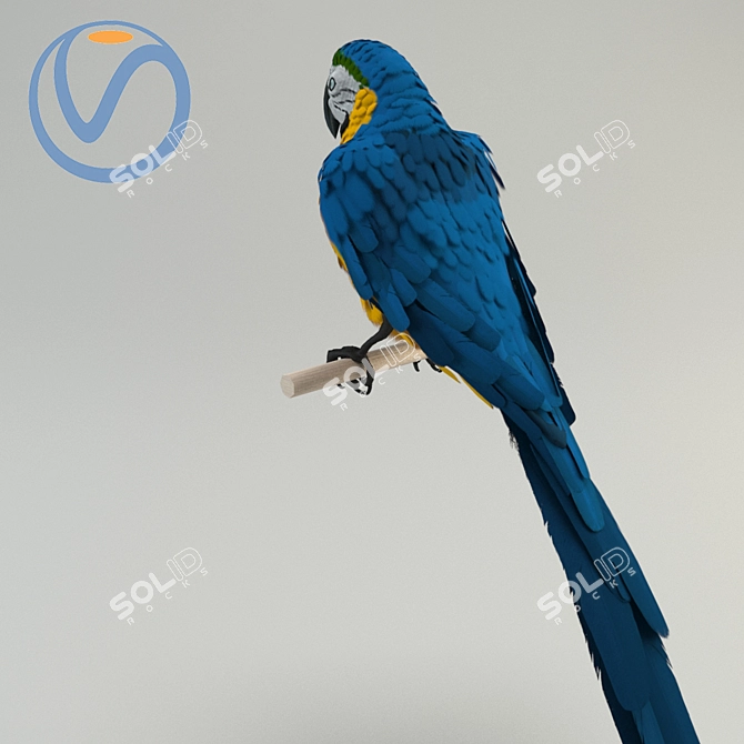 Vibrant Blue-Yellow Macaw Toy 3D model image 2