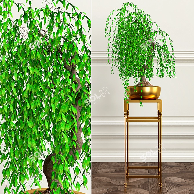 Green Oasis: 18 Beautiful Plants 3D model image 1