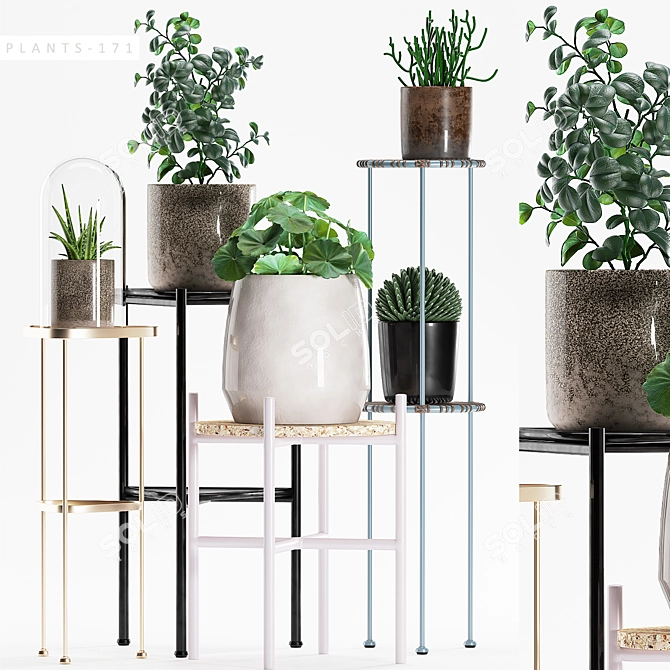 Exquisite Flora Collection 3D model image 1