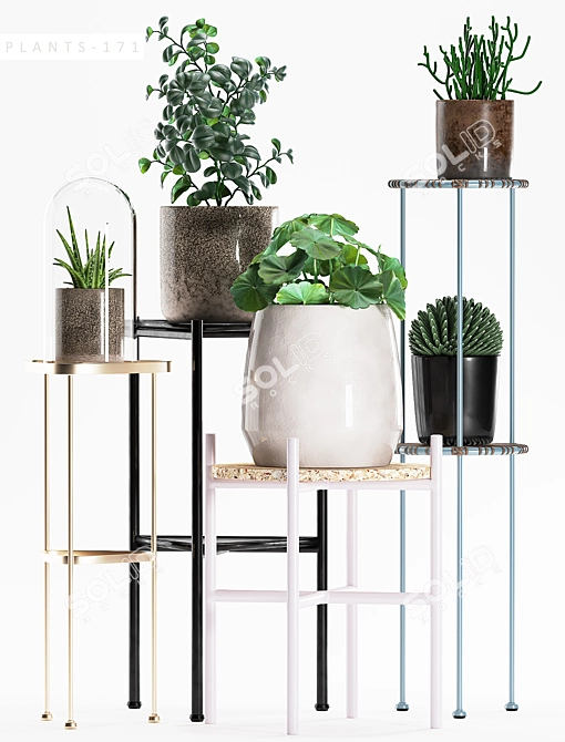 Exquisite Flora Collection 3D model image 2