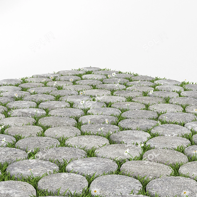 Grassy Oasis Paving Stone 3D model image 2