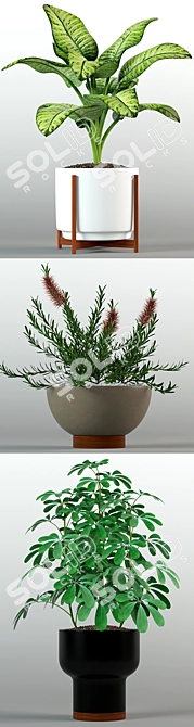 Modernica Pots Collection 3D model image 2