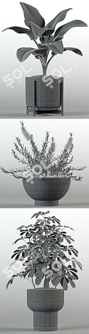 Modernica Pots Collection 3D model image 3