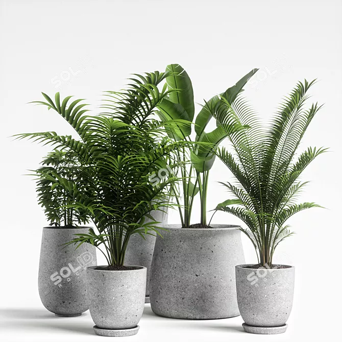 Versatile Plants Set 04: Maximize Your Visuals 3D model image 5