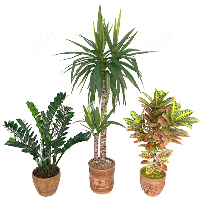 Greenery Oasis: 2014 Houseplants 3D model image 1