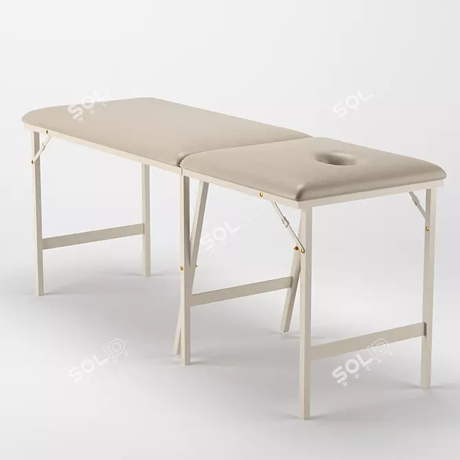 ErgoSpa Massage Table 3D model image 1