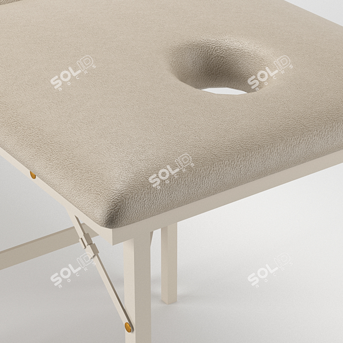 ErgoSpa Massage Table 3D model image 2