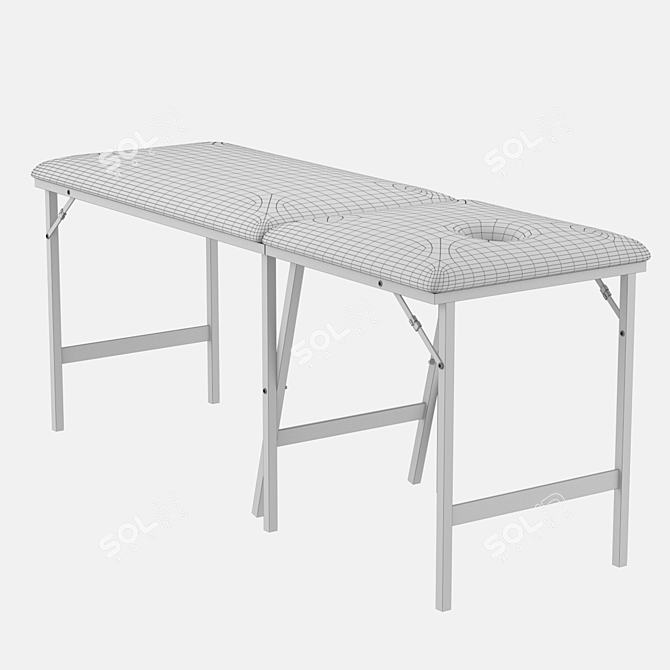 ErgoSpa Massage Table 3D model image 3