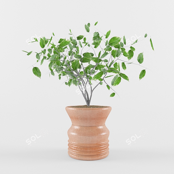 Elegant Plant Table with Clay Pot 3D model image 1