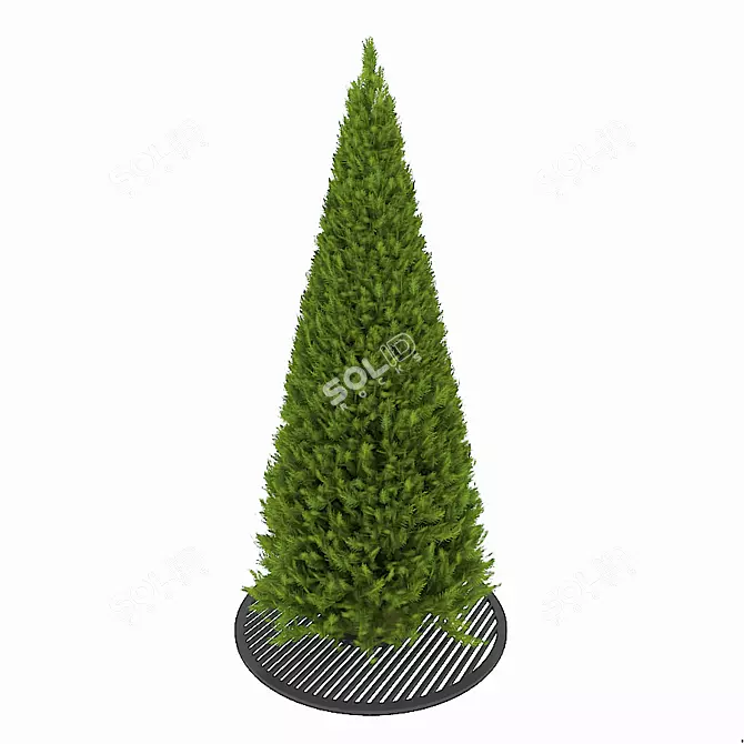 Thuja Green Beauty: Evergreen Elegance 3D model image 1