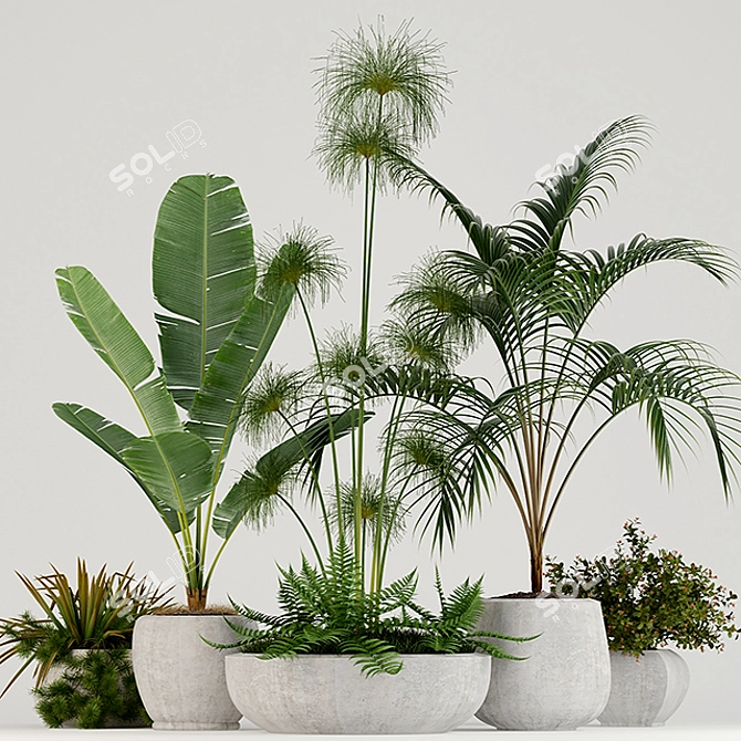 Botanical Bliss: 80 Plant Collection 3D model image 1