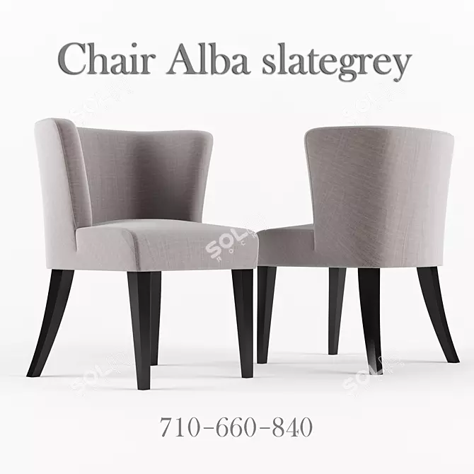 Elegant Alba Slategrey Chair 3D model image 1