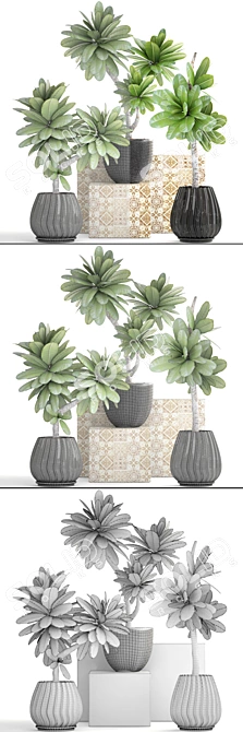 Exquisite Frangipani Plant 3D model image 3