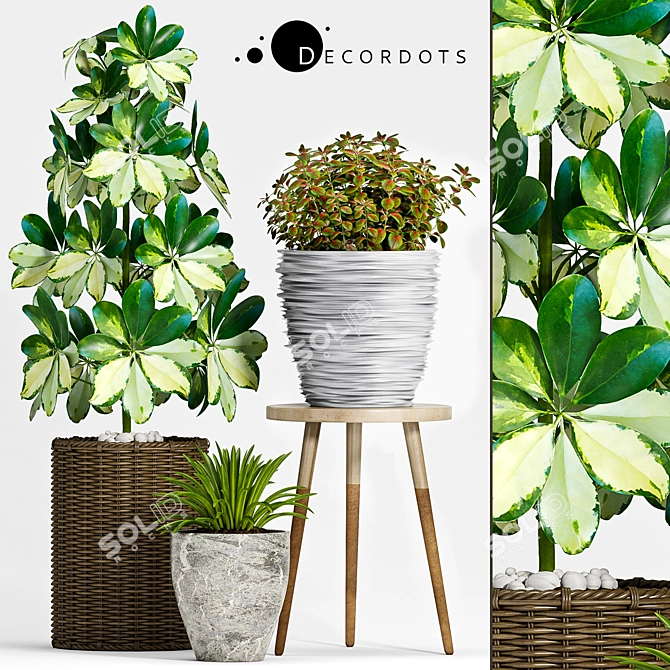 Green Oasis: Decorative Planters Set 3D model image 1