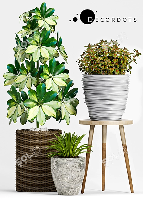 Green Oasis: Decorative Planters Set 3D model image 2