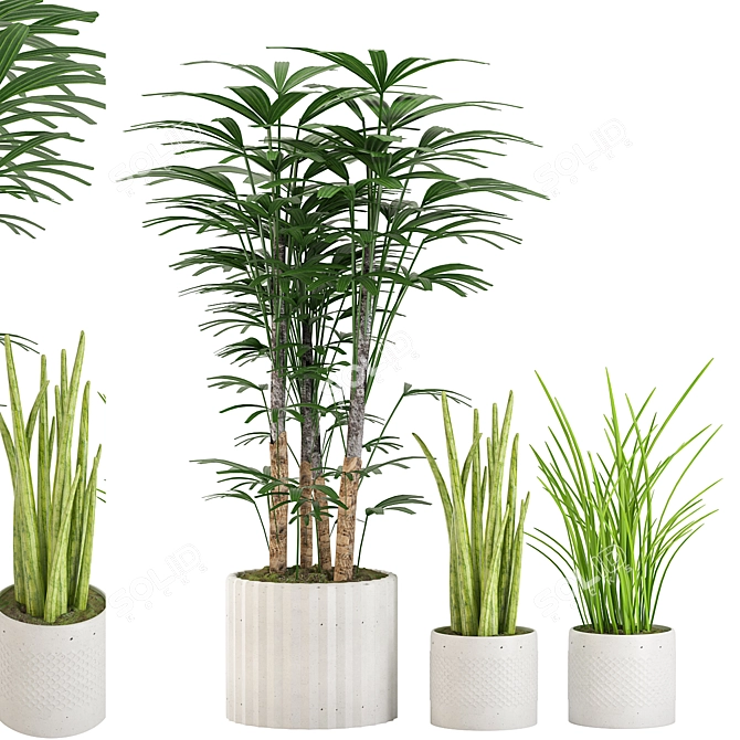 Lush Green Collection: Palm, Sensavia & Grass Pot 3D model image 1